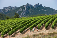 France-Provence-Wine Trails of Rhône Valley